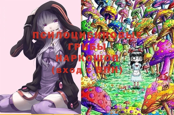 МДПВ Зерноград